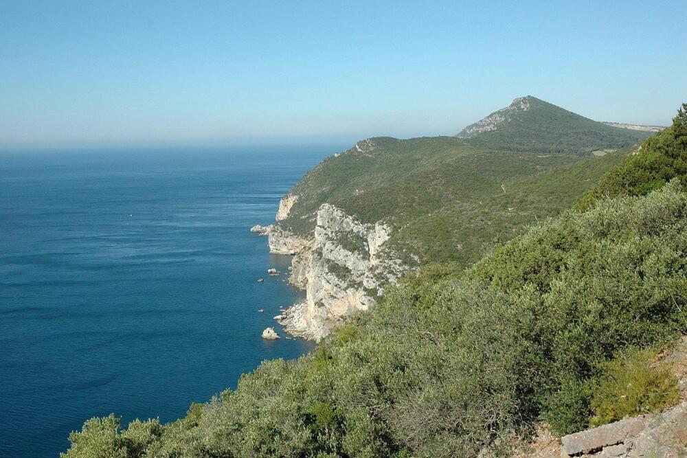 Duplexdubocage Lägenhet Setúbal Exteriör bild